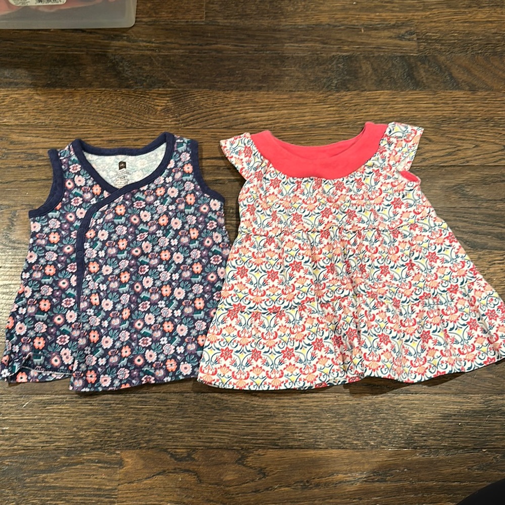 (2) 3-6 month Tea Collection Top and Dress